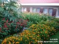 Домашний пансионат Lovada