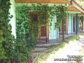 ������� �������� ���� ������