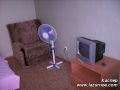 ������� ��������� ������ ���� ������