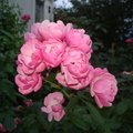 Отзыв про Домовладение 61 роза , common.months_num.09 2015, фото 8