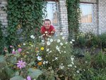 Відгук про Приватне домоволодіння Amur, січнь , фото 