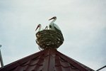 Отзыв про Частный мини-пансионат Аист на крыше, январь , фото 