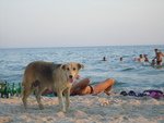 Отзыв про База отдыха Волна1, январь , фото 