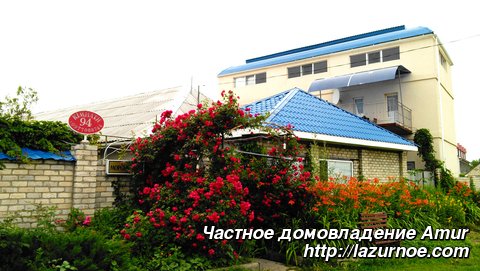 Частное домовладение Amur