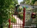 77 гроздей калины