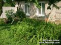 1 Зеленый оазис